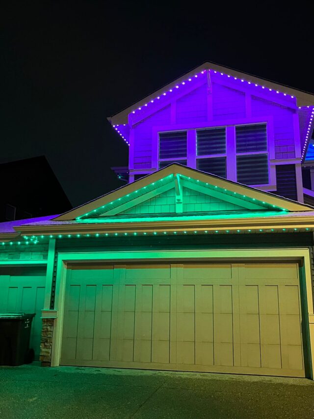 Permanent Exterior Lights for This Christmas